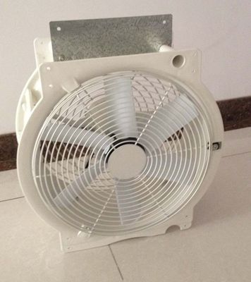 250W Ø600mm داخل الدفيئة الغيار مروحة أجزاء تداول مع بيت بلاستيكي