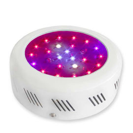 يزهر led ينمو معمل خفيف 3watt معمل حالة نموّ مع 50000 ساعة lifespan طويل
