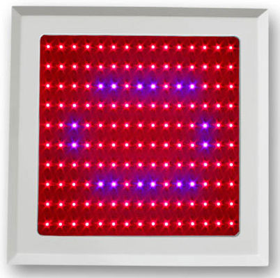 150W LED النبات ينمو طيف الضوء الأحمر الأزرق لتسليط الخضر وطليعي النباتي