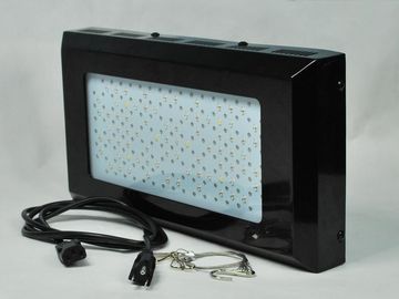 high Intensity أحمر وأزرق led ينمو معمل Ligh 3watt لداخليّ نباتيّ حديقة إنارة