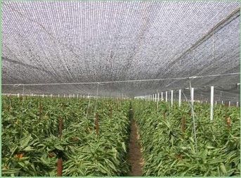 زراعة دفيئة ظل تشبيك, 2x100m, 30gsm - 300gsm