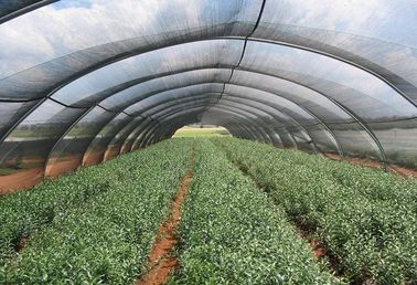 hdpe uv دفيئة سقف ظل تشبيك anti, بوليثين ظل شبكة
