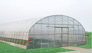 تخصيص توفير البيوت البلاستيكية التجارية الطاقة، 8000mm فترة الدفيئة النفق