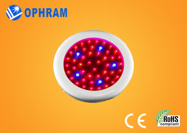 Epistar IP20 50W يشبع ينمو طيف led ضوء لزهرة AC85-265V