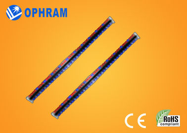ينمو سطوع عال Epistar IP65 أحمر و led أزرق ضوء مع ce/ROHS