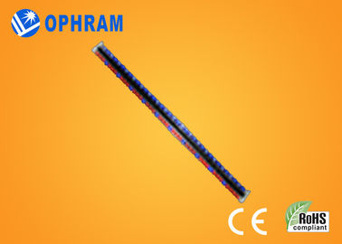 ينمو سطوع عال Epistar IP65 أحمر و led أزرق ضوء مع ce/ROHS