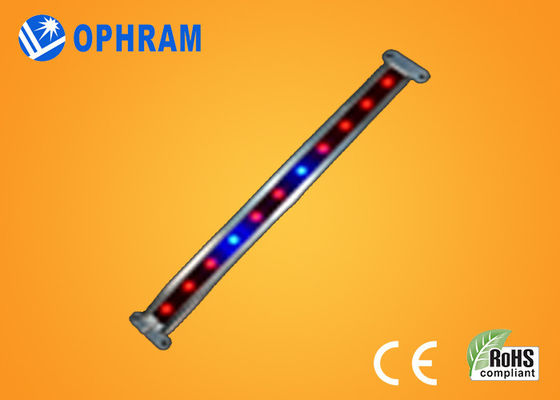 ينمو 10W SMD 2835 نباتيّ/يزهر led ضوء مع 180° حزمة موجية زاوية
