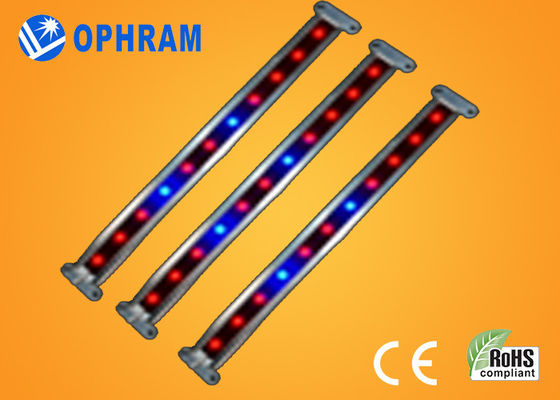 ينمو 10W SMD 2835 نباتيّ/يزهر led ضوء مع 180° حزمة موجية زاوية
