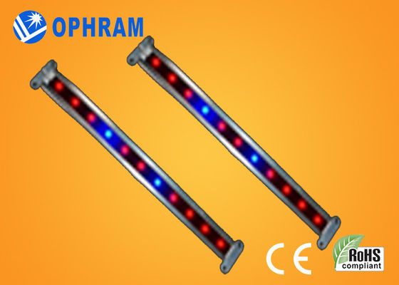 ينمو 10W SMD 2835 نباتيّ/يزهر led ضوء مع 180° حزمة موجية زاوية