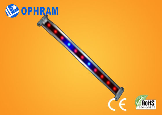 ينمو 10W SMD 2835 نباتيّ/يزهر led ضوء مع 180° حزمة موجية زاوية