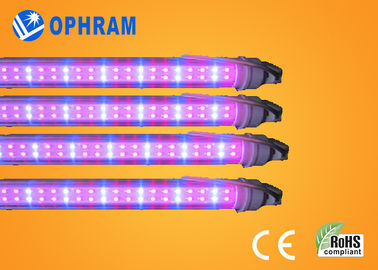 50Hz/60Hz 230V/240V يشبع ينمو طيف led ضوء لخضرة