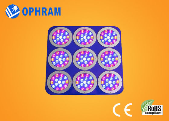Epistar أحمر/أزرق يشبع ينمو طيف led ضوء مع معدن حالة