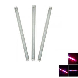 G13 led ينمو معمل ضوء أحمر و Hydroponic أزرق لزراعة دفيئة