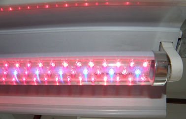 G13 led ينمو معمل ضوء أحمر و Hydroponic أزرق لزراعة دفيئة