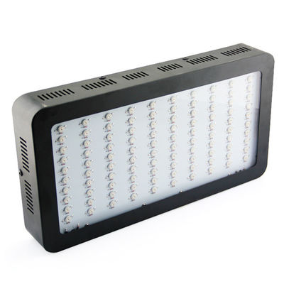 عال تجويف صغير حديقة معمل داخليّ يشبع ينمو طيف 300watt led ضوء مع Epistar leds